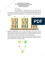 Mendelismo y Continuidad Genetica