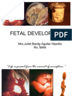 Fetal Development