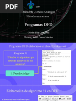 Coral Díaz Citlalin Elba-Evidencias y Ejercicio DFD