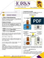 Folha Horus 2022