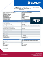 Reporte Electrónico de Ficha RUC