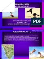 KALARIPAYATTU Y PENCAK SILAT (PDFDrive)