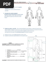 Practico 1 Topografía Humana 2020 SANFE 1