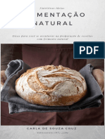 Ebook Fermentação Natural