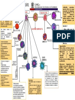 Celulas Del Sistema Inmunitario 236540 Downloable 1886911 2