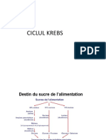 Cursuri Unite Biochimie