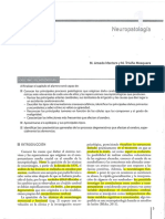 NEUROPSICOLOGIA A Traves de Casos Clinicos Split