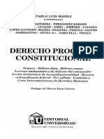 Derecho Procesal Constitucional - Pablo Luis Manili (Indice)