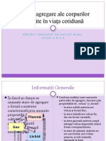 Stări de Agregare Ale Corpurilor Întâlnite În Viața