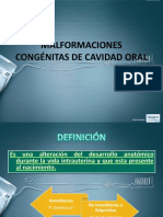 Idoc - Pub - Malformaciones Congenitas de Cavidad Oralpptx