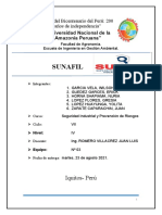 Sunafil Informe