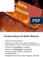 Aula Reino Monera