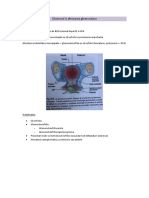 Glomerul Si Afectarea Glomerulara - Greucean Luz