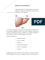 Fisiopatologia Hepatica