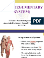 Intergumentary System