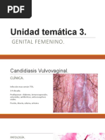 Unidad Temática 3. Ginecologia