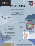 Echiurida 