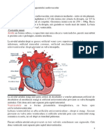 Anatomie Si Semiologie Cardio