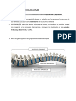 Guía Práctica - Músculos Del Cuello