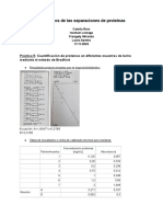 Informe Separacion de Proteinas