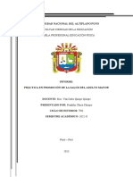 Documento Original