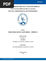 Informe 3 - Fuerza Muscular en El Salto Vertical - Ramírez Villacorta Gissella