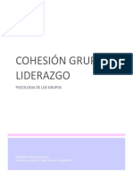 Cohesión Grupal