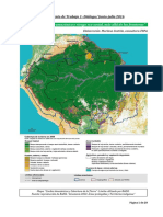 AM - Territorialidad Panamazonica