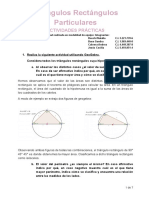 BoschiBuseCabreraJesus Triangulos Particulares