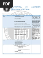 Ayudantía de Anatomía - Columna