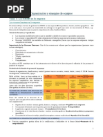 Temario - Organización y Sinergias de Equipos