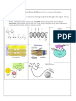 Kami Export - Semester 1 Fall Study Guide 2022-1