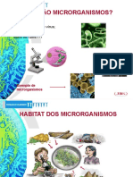 Treinamento de Boas Práticas