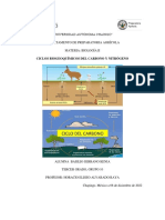 Ciclos Biogeoquímicos Del Nitrogeno y Carbono