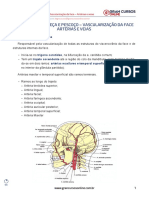 Anatomia Cabeça e Pescoço III