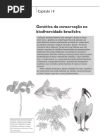 Capitulo 10 Biodivbrasil