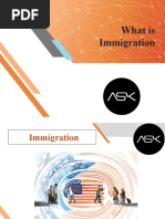 What Is Immigration