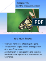 9 Endocrine System