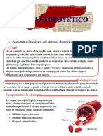 Sistema Hematopoyético/fisiopatología