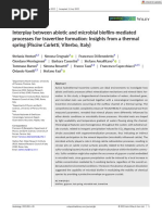 Interplay Between Abiotic and Microbial Biofilm Mediated Processes For Travertine Formation Insights From A Thermal Spring (Piscine Carletti, Viterbo, Italy)