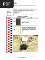 Perfil Estratigrafico Gallorumi 1