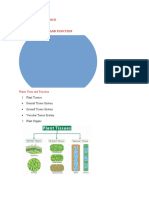 Earth and Life Science Lesson 12