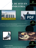 Control de Aves en La Agroindustria