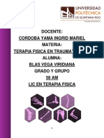 Glosario Traumatologia Blas Vega Viridiana TF 58am