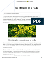 «【 Propiedades Mágicas de la Ruda 】☀️️ Usos y Propiedades