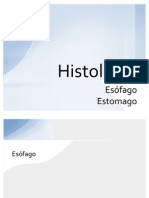 Histologia Del Esofago y Estomago