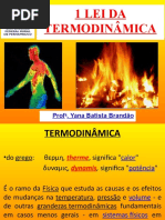 1 Lei Da Termodinâmica - Yana - 2