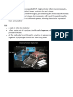 Gel Electrophoresis