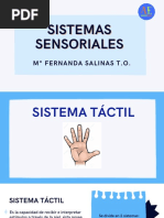 Sistemas Sensoriales