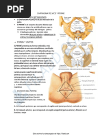 Diafragma Pelvico y Perine